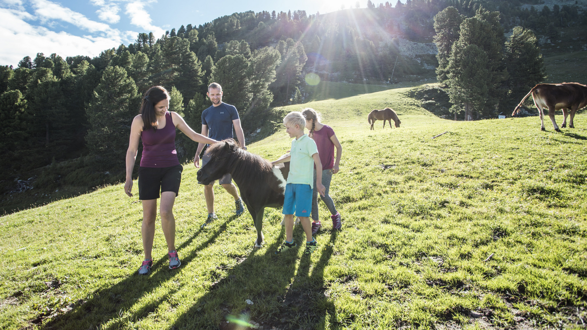 [Translate to Italienisch:] Familienwanderungen in Oetz