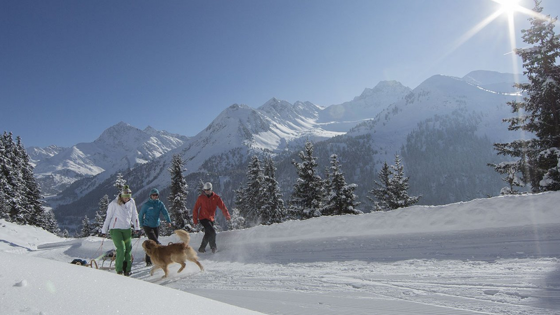 [Translate to Italienisch:] Rodeln mit Hund im Ötztal
